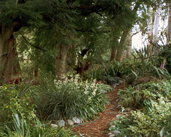  Edged with river stones. 